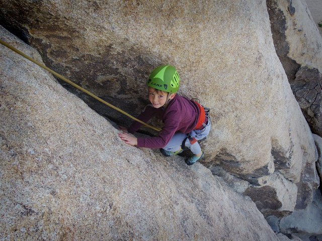 Family Rock Climbing Trips in Joshua Tree National Park (4 Hours) - Photo 1 of 7